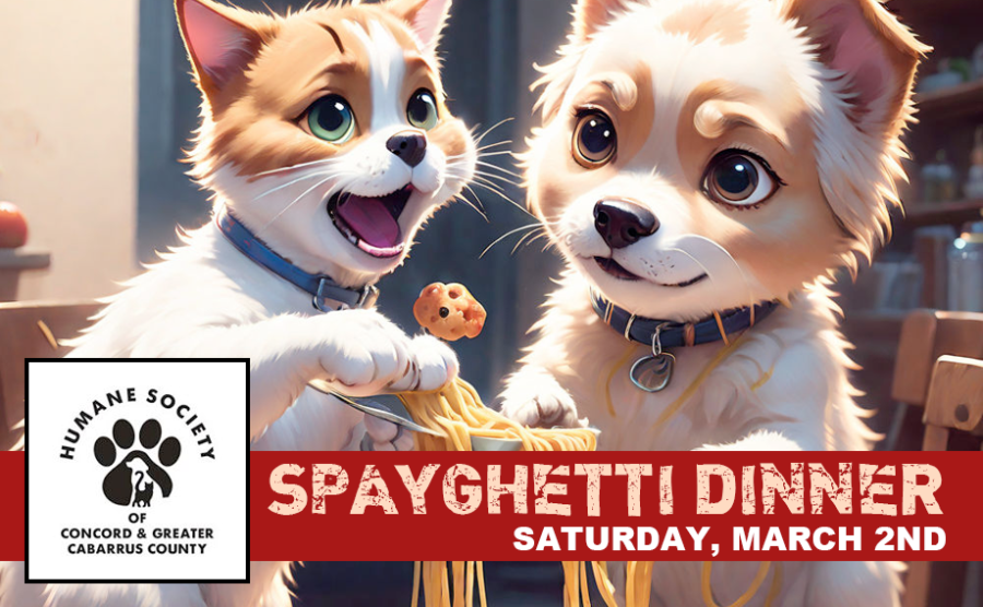 Spayghetti Dinner