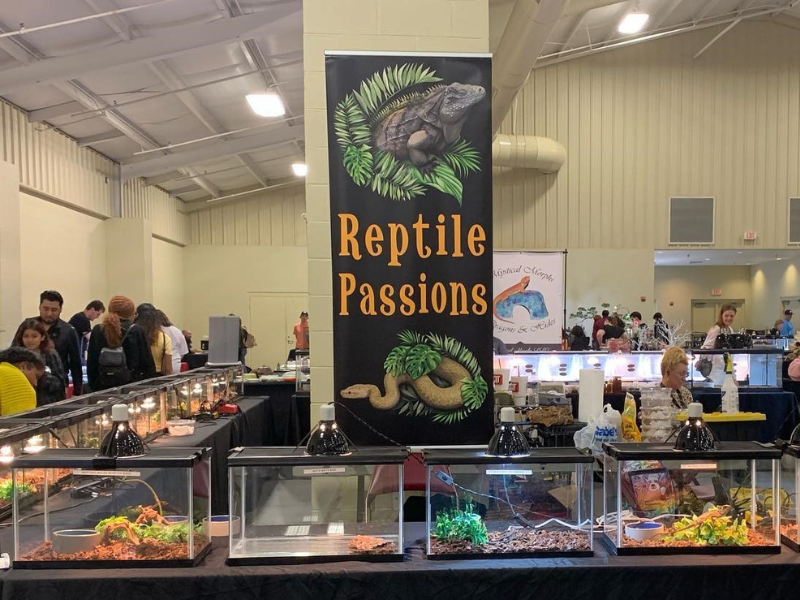 Reptile Passions at Repticon