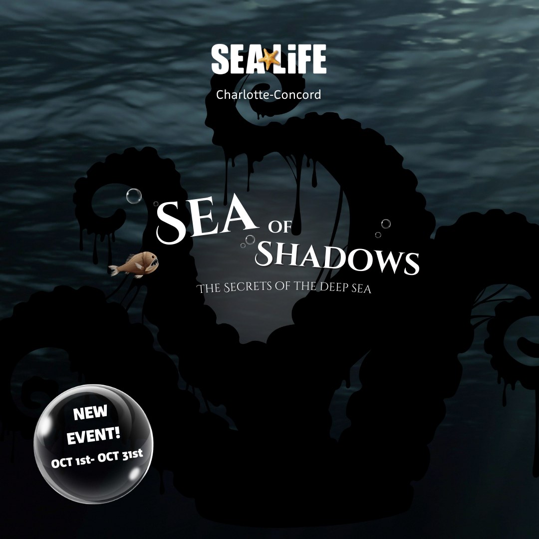 Sea of Shadows