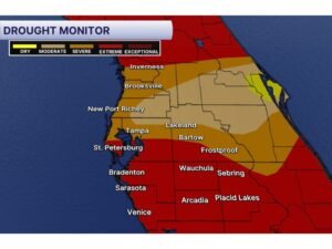Extreme Drought Expands Across Tampa Bay Region as Southern Pinellas and Parts of Tampa Slip Into Severe Conditions