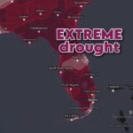 Florida Drought Index Soars to 354 as Extreme Conditions Grip 87% of the State from Pensacola to Miami