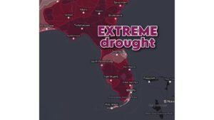 Florida Drought Index Soars to 354 as Extreme Conditions Grip 87% of the State from Pensacola to Miami