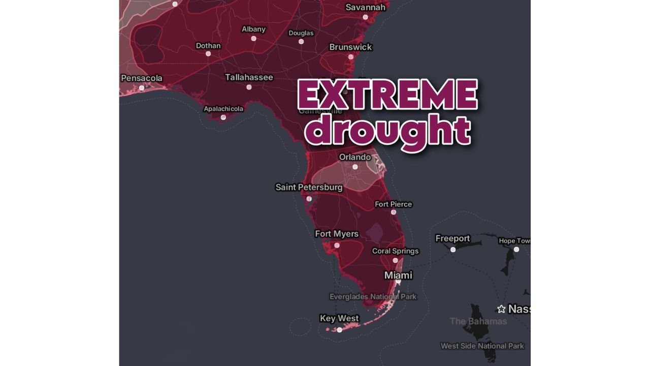 Florida Drought Index Soars to 354 as Extreme Conditions Grip 87% of the State from Pensacola to Miami