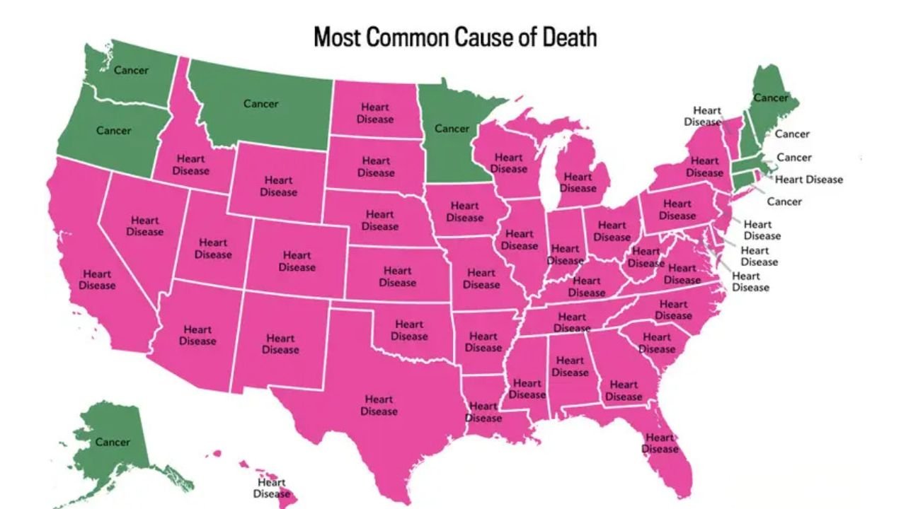 Heart Disease Dominates Most U.S. States While Cancer Leads in Parts of the Northwest and Northeast, New Map Shows Stark Regional Divide