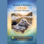 Ohio’s Harshest Winter Stretch Appears Over as February Thaw Brings 60s to Central and Southern Parts of the State