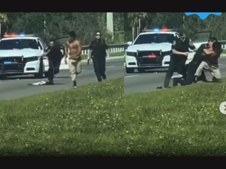 Polk County, Florida Video Shows Deputies Struggling to Arrest Man in Middle of Road as Suspect Appears to Break Free