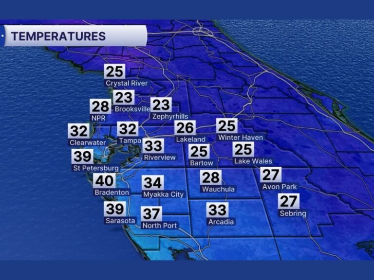 Rare Florida Freeze Sends Temperatures Below Freezing at Tampa Airport as Arctic Cold Tightens Its Grip