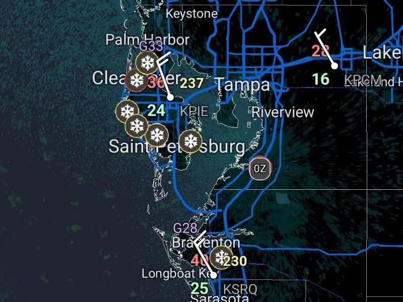 Snowflakes Reported Across West-Central Florida as Rare Early-Morning Flurries Appear Near Tampa Bay