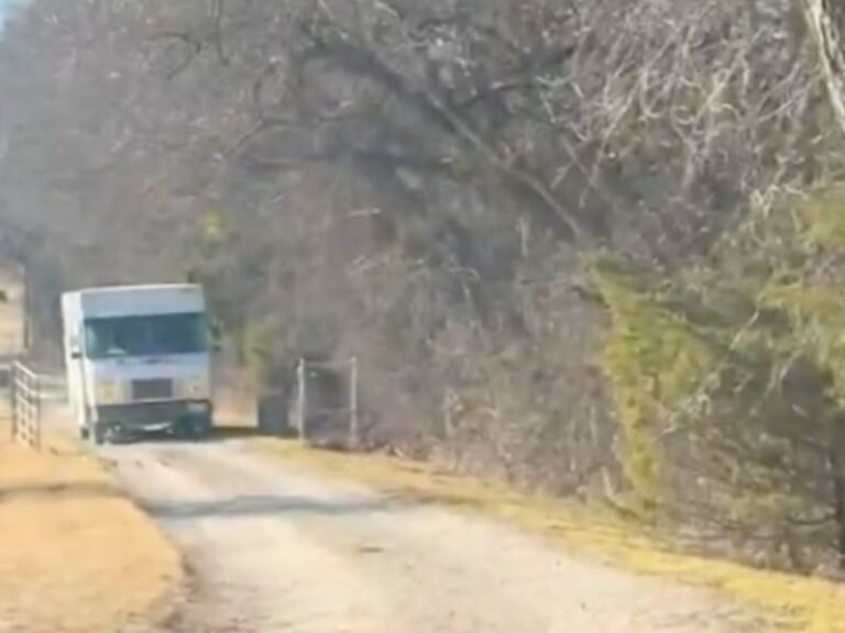 Texas FedEx Driver Seen Throwing Packages From Truck as Angry Customer Films Delivery Meltdown