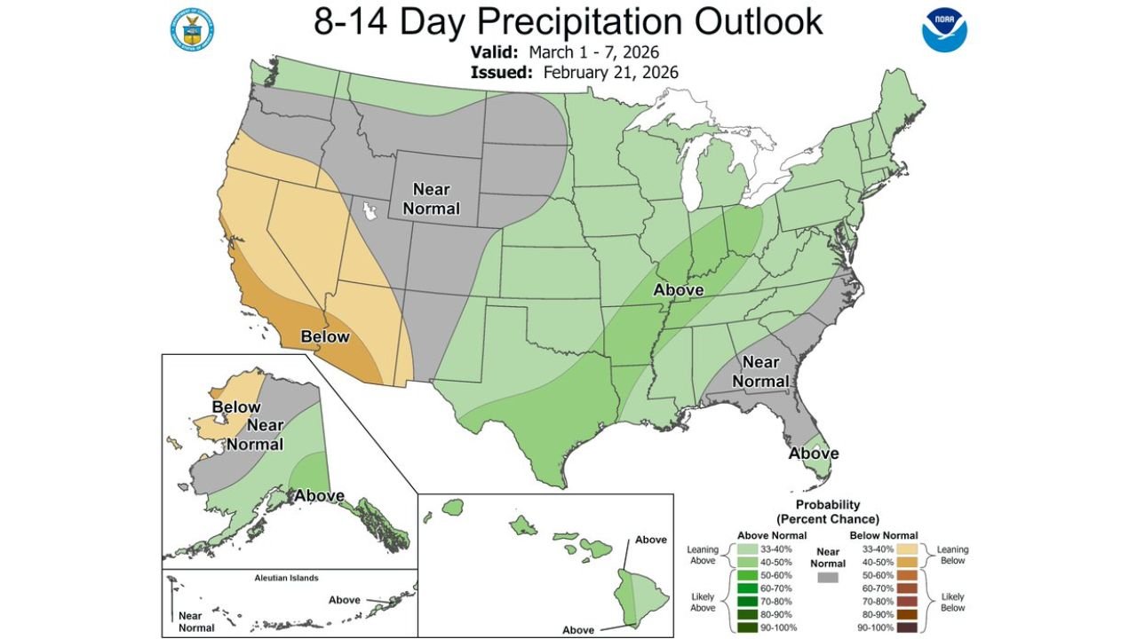 Texas, Louisiana, Mississippi, Alabama, Georgia and Florida Face Warmer-Than-Normal Early March While Arkansas, Tennessee and Kentucky See Increased Rainfall Chances