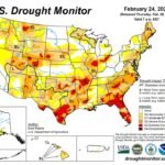 Entire State of Florida Now in Drought While California Shows Zero Drought Coverage in Rare Nationwide Reversal, U.S. Drought Monitor Reveals