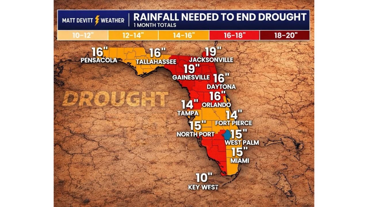 Florida Drought Crisis Deepens as Jacksonville, Gainesville, Orlando, Miami May Need Up to 19 Inches of Rain to Recover