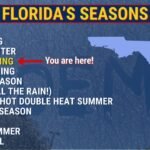 Florida Enters Peak Pollen Season as Yellow Dust Covers Cars While Storm Season Threat Lingers Statewide