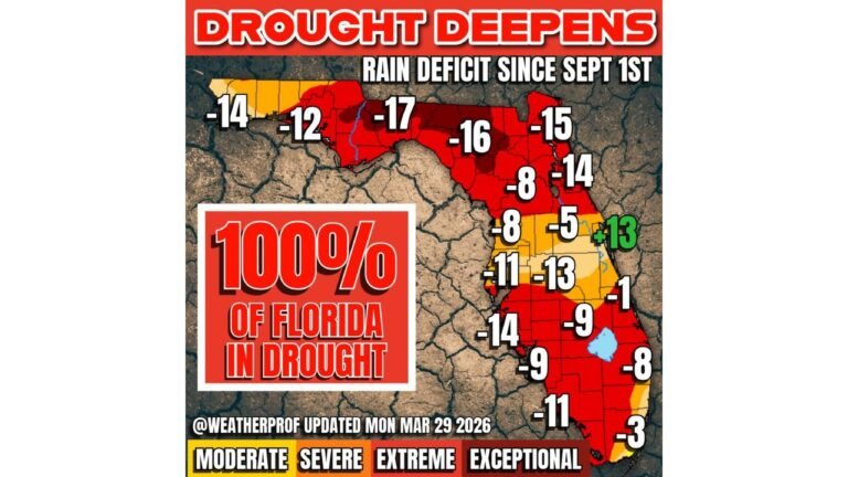 Florida Faces Worsening Drought With Extreme Conditions Statewide as Fire Risk Rises Heading Into Peak Season