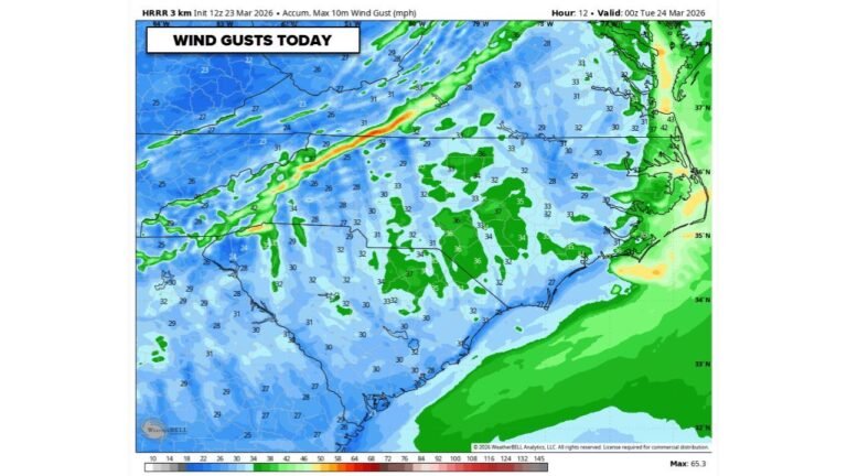 North Carolina South Carolina Fire Danger Alert Dry Air Strong Winds And Cold Front Create Rapid Wildfire Risk Across Charlotte Region Today