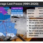Oklahoma and Texas Warm Surge Triggers Early Growth but Late March Freeze Risk Still Looms Into April Despite Above Normal Outlook