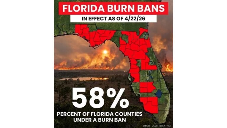 58 Percent of Florida Counties Under Burn Ban as 39 of 67 Counties Face Critical Wildfire Danger as of April 22