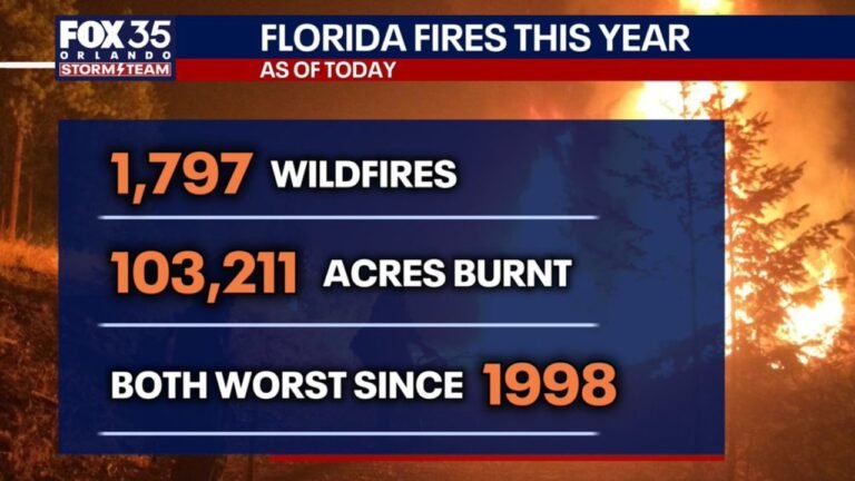 Florida's Worst Fire Season Since 1998 Scorches 103211 Acres as Smoke Shifts Toward New Counties This Weekend