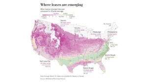 Rockies, Plains and Midwest See Record-Breaking Early Spring Leaf-Out as Millions Experience Unusual Seasonal Shift
