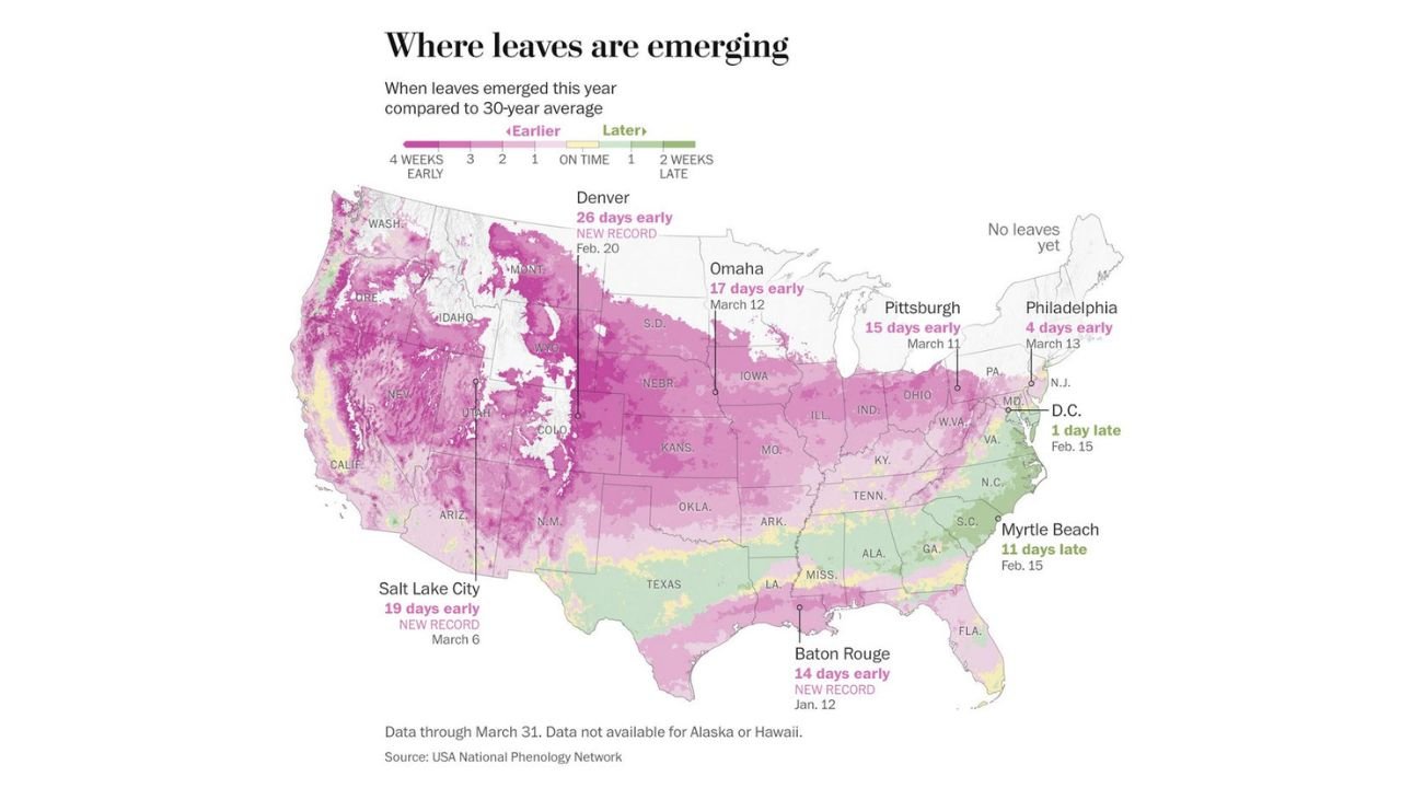 Rockies, Plains and Midwest See Record-Breaking Early Spring Leaf-Out as Millions Experience Unusual Seasonal Shift