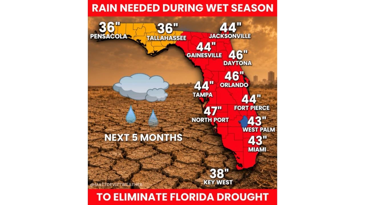 Florida Needs 36 to 47 Inches of Rain Over the Next 5 Months to End Historic Drought With Orlando, Daytona, Jacksonville and North Port Facing the Largest Deficits